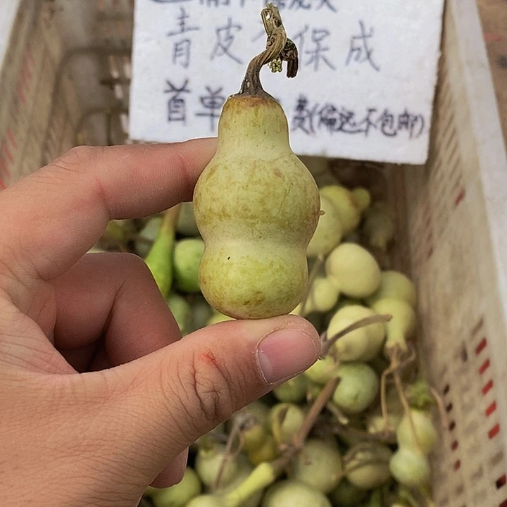 落**晖哈哈哈哈哈哈哈哈哈