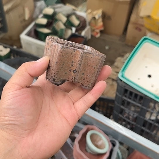 你是怎么说出这个的吗啊怎么这么