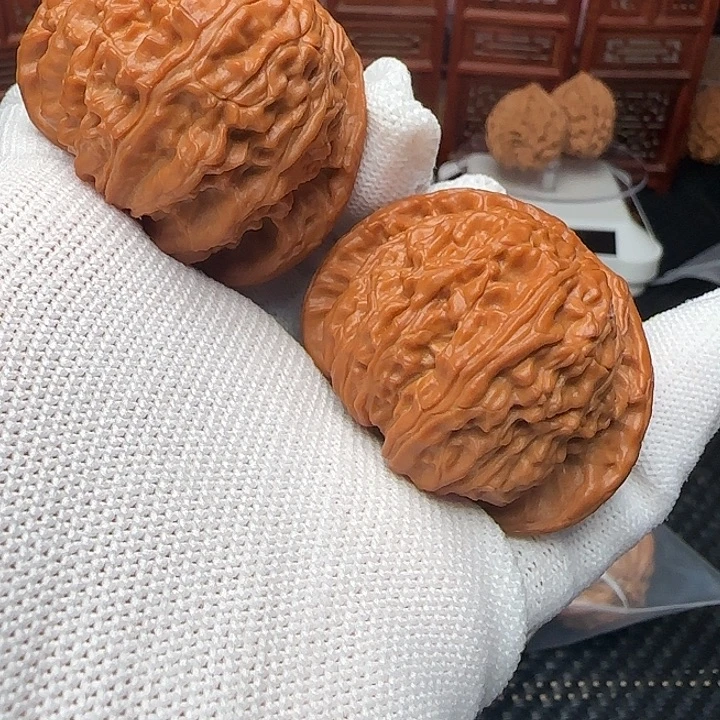 桃核把件白狮子福利46尺