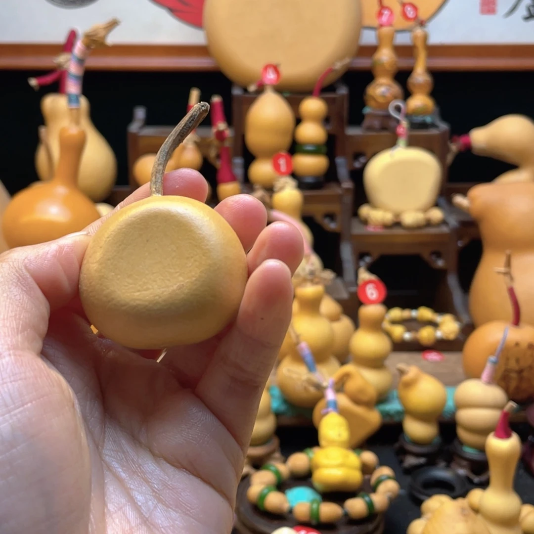 ?*壹大自然的秘密第十一章