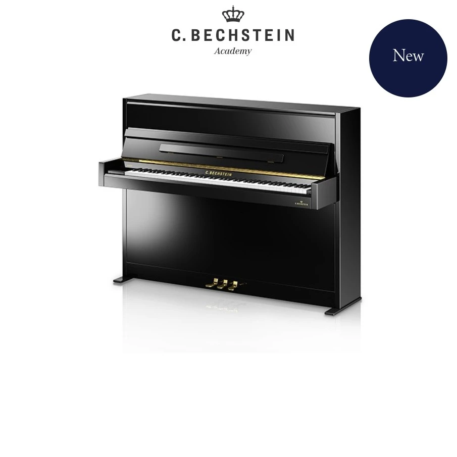 贝希斯坦学院系列立式琴A2