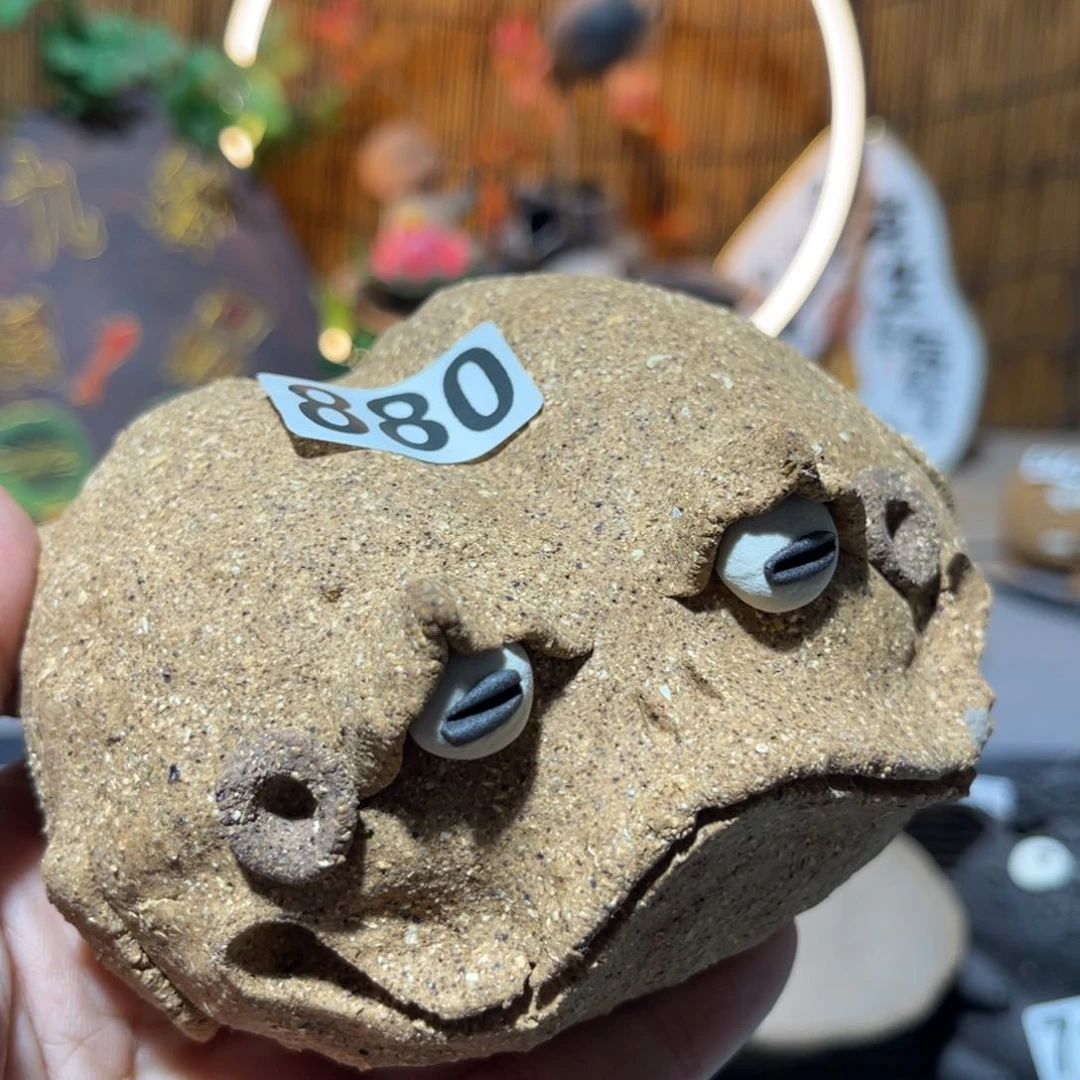 木村信弘柴烧保平