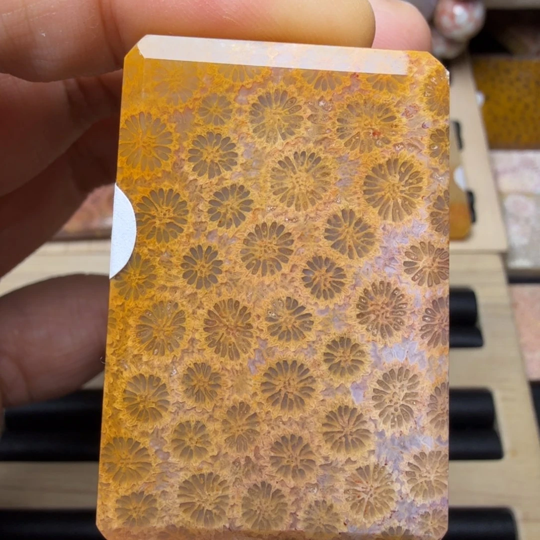 硅化玉未镶嵌纯天然色有机玉石保真色