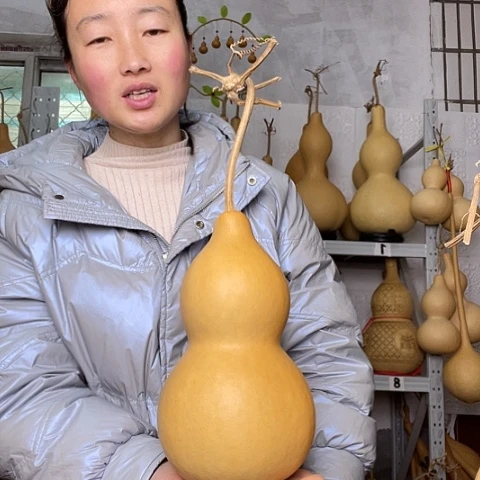 天然植物葫芦文玩