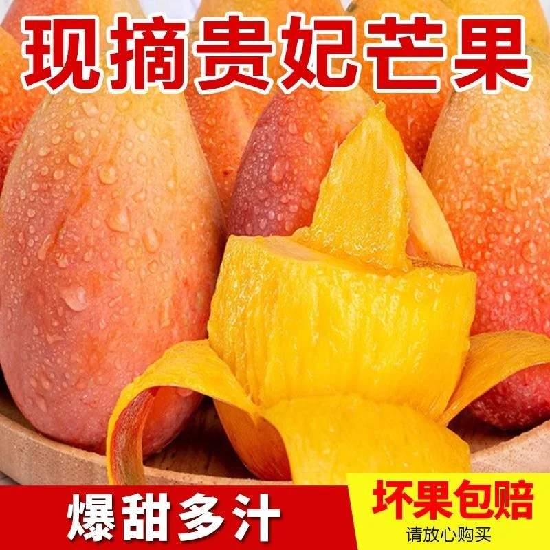正宗海南贵妃芒薄核多肉红金龙当季新鲜薄皮芒果树上熟现摘水果