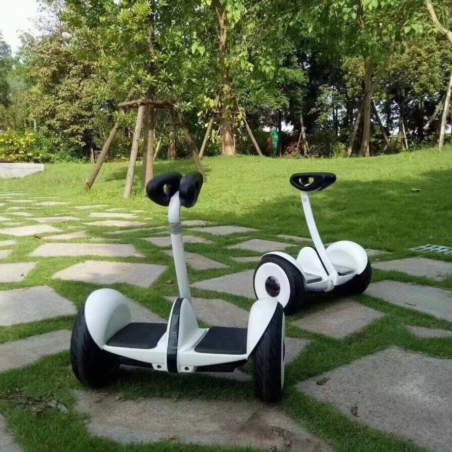 Mini智能平衡金典成人外卖专用车