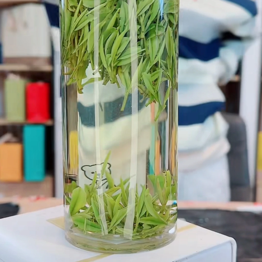 【双十二专享小芽】2025新茶枫璟白茶高山原产地安吉白茶