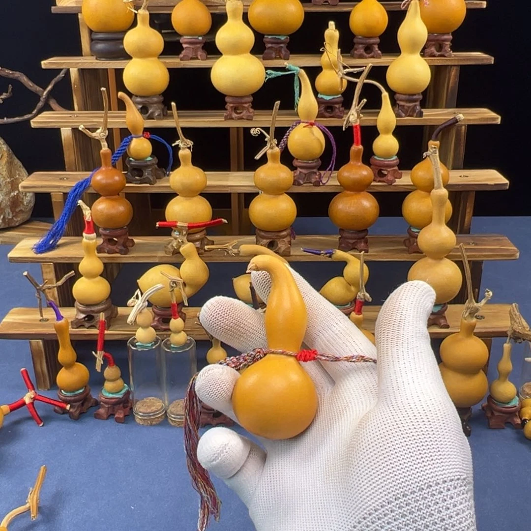 蚂**黑鹰嘴AAAAAAAA