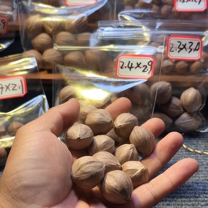乱***雄吊坠橄榄核2.3❌2.7素核