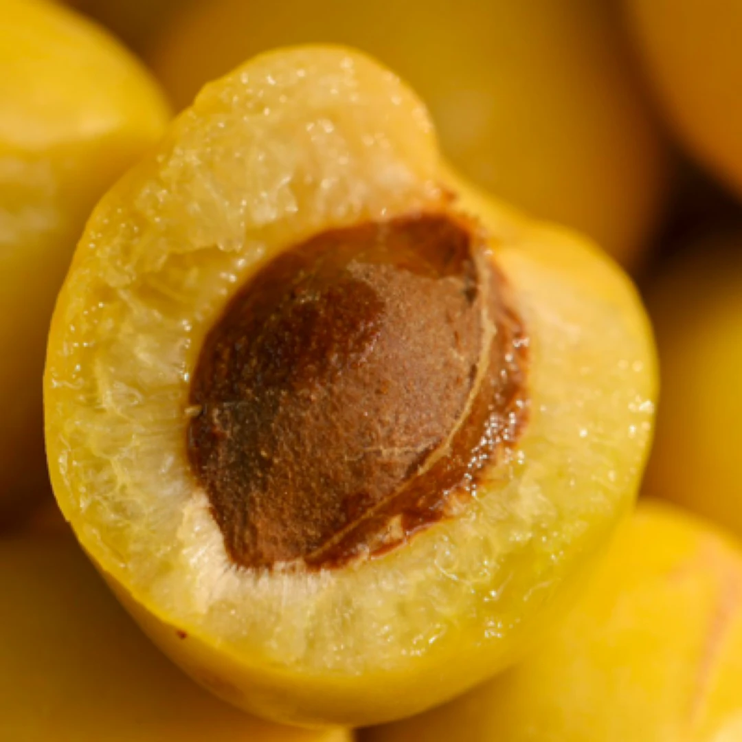 新疆轮台小白杏 3斤 顺丰空运 新鲜应季水果软糯香甜产地直发XGY