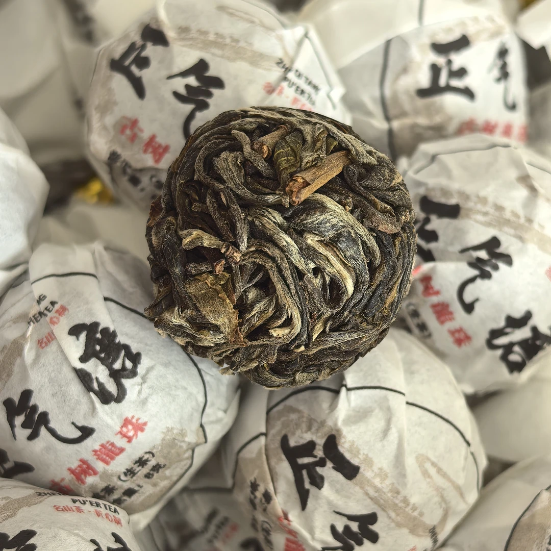 2026正气塘古树春茶龙珠
