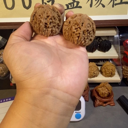 43加全品华坤龙070