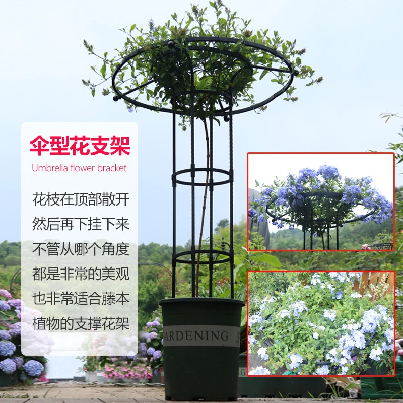 园艺伞形玫瑰爬藤架月季铁线莲攀藤蘑菇蔷薇绿植园艺用品