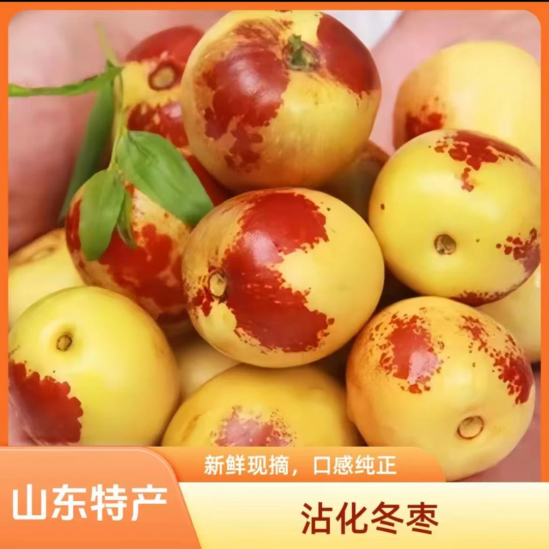 正宗沾化冬枣酥脆甘甜混装一箱五斤包邮（偏远地区发不了）