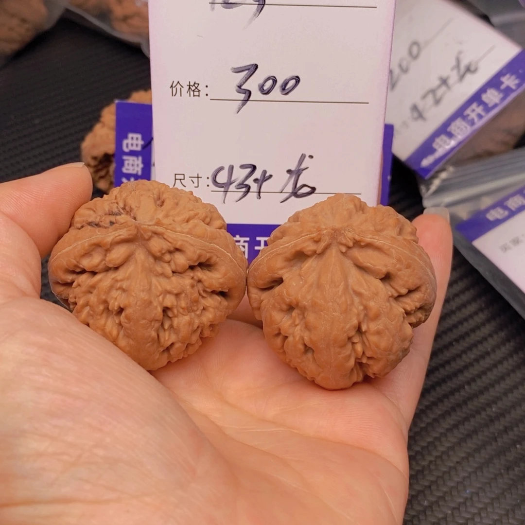 文玩核桃霸王龙核桃