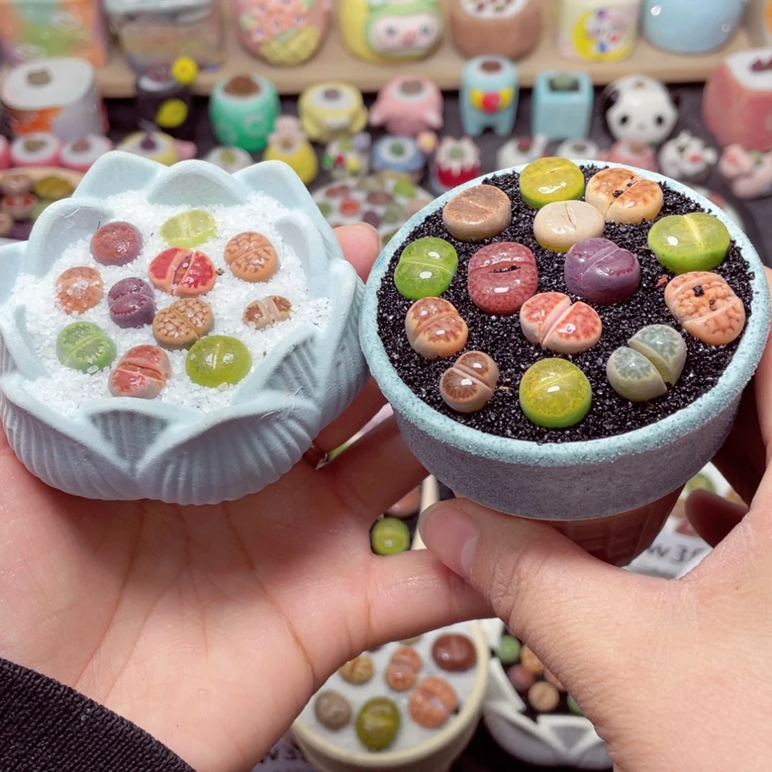 w3818 带盆土发货-零下地区拍保温箱