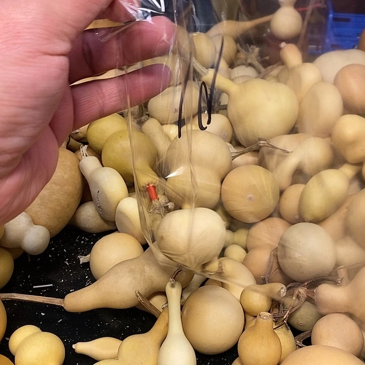 精品葫芦手把葫芦19