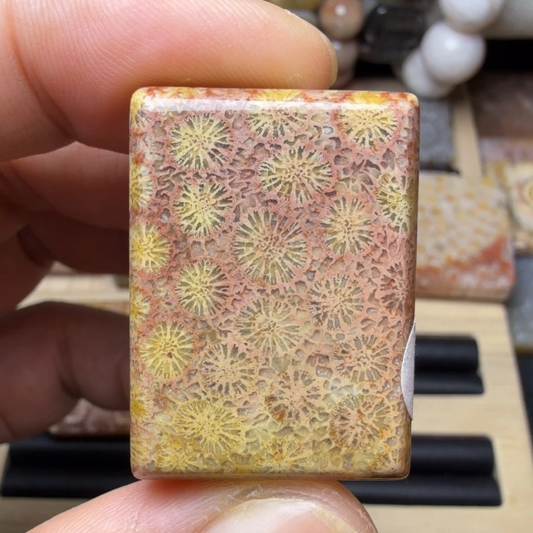 硅化玉未镶嵌纯天然色有机玉石保真色