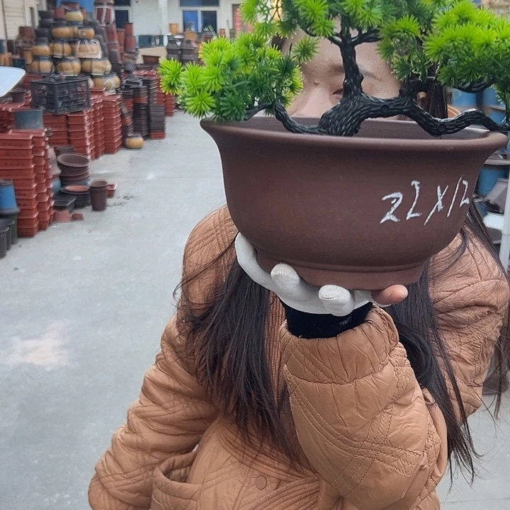 21擦林小碗花盆花盆花盆花盆