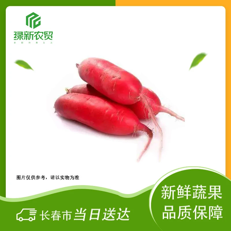 Y大水萝卜 500g±50g/份