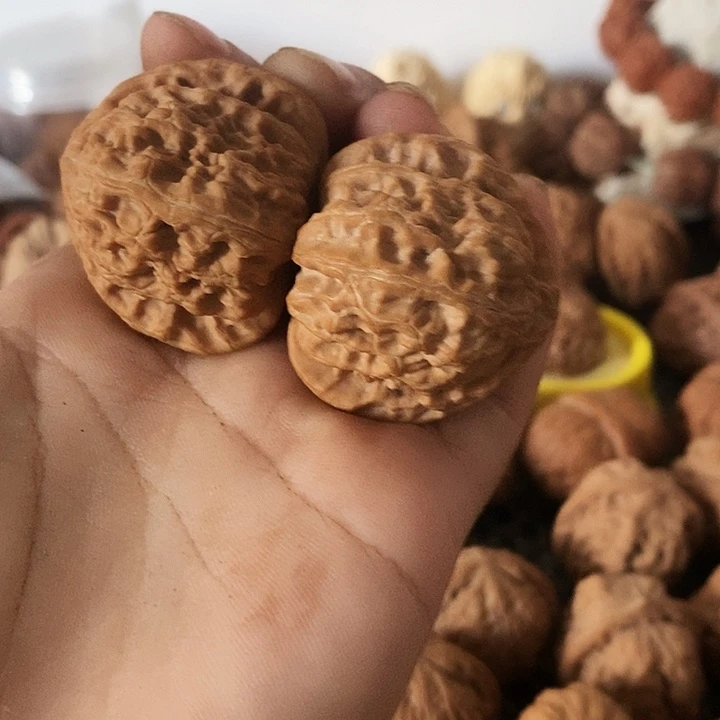 吊坠文玩核桃发*.老树白狮子