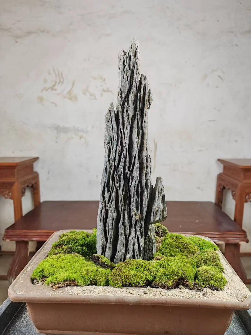 青龙石水陆缸鱼缸造景附树石