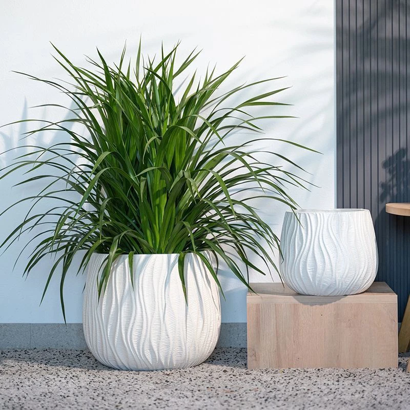 镁泥落地花盆大号矮圆肚形简约花盆散尾葵千年黑金刚鸭脚木千年木