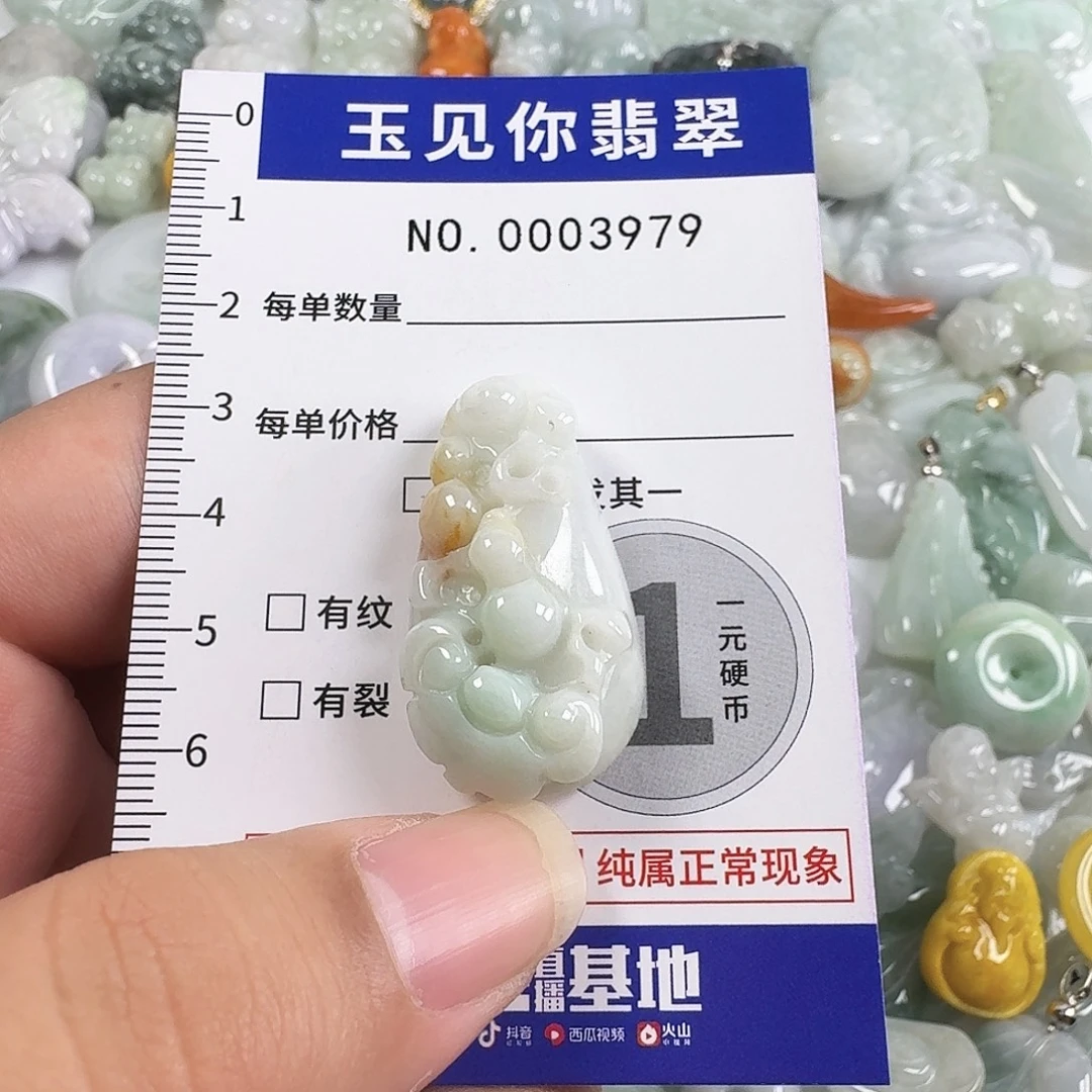 翡翠未镶嵌吊坠(不含链)