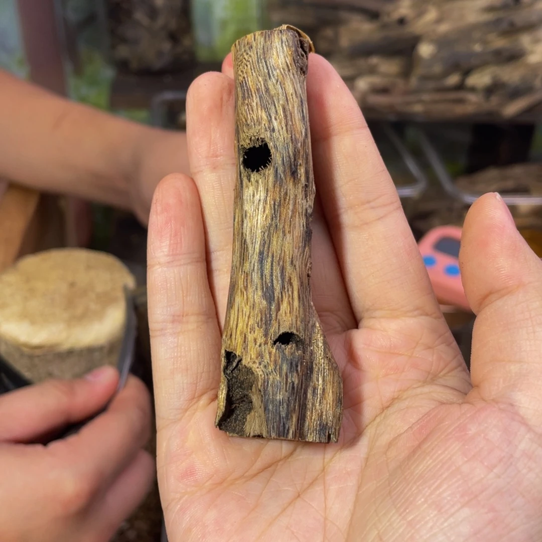 沉香碎屑沉香9克05