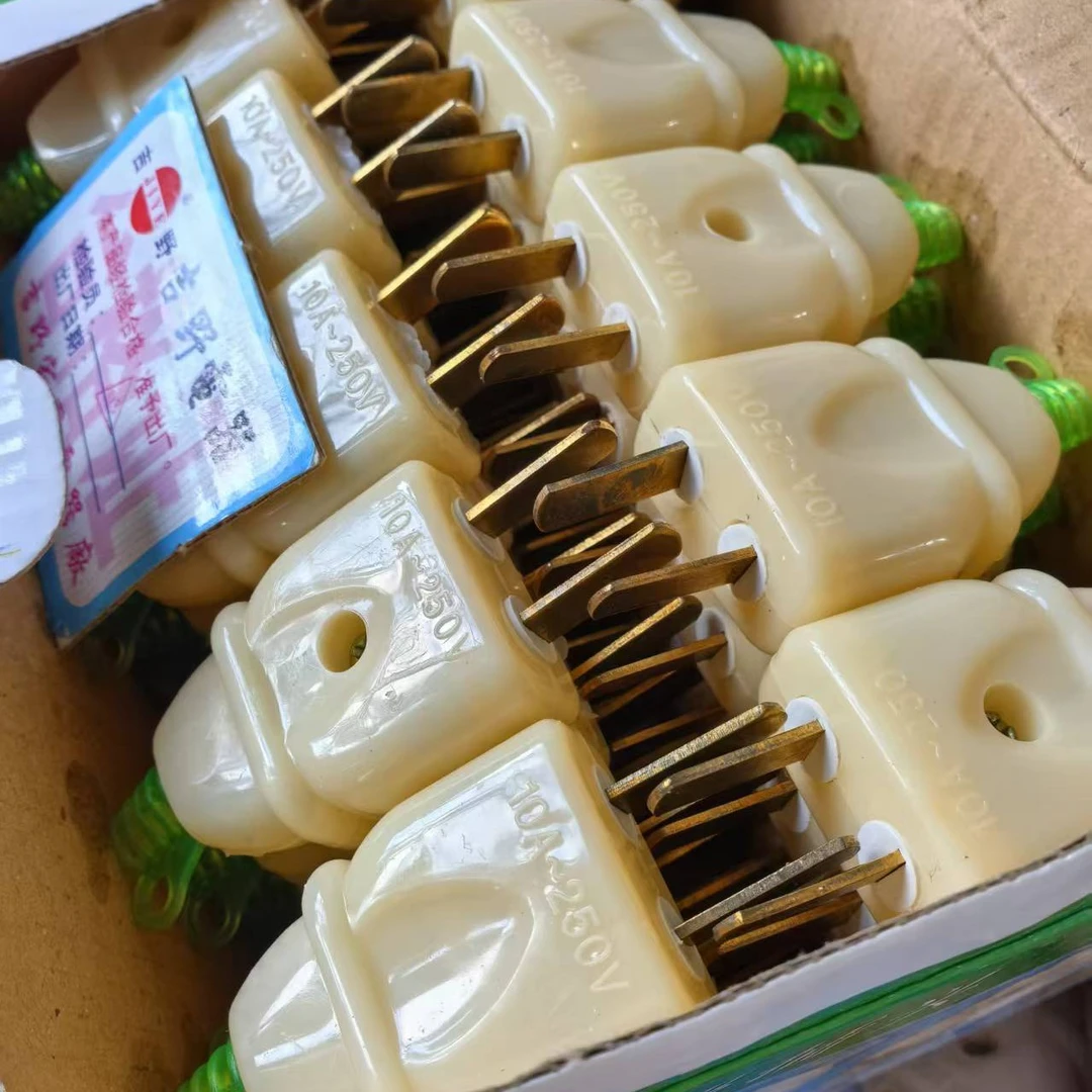 新款二脚插头10A（10个发）