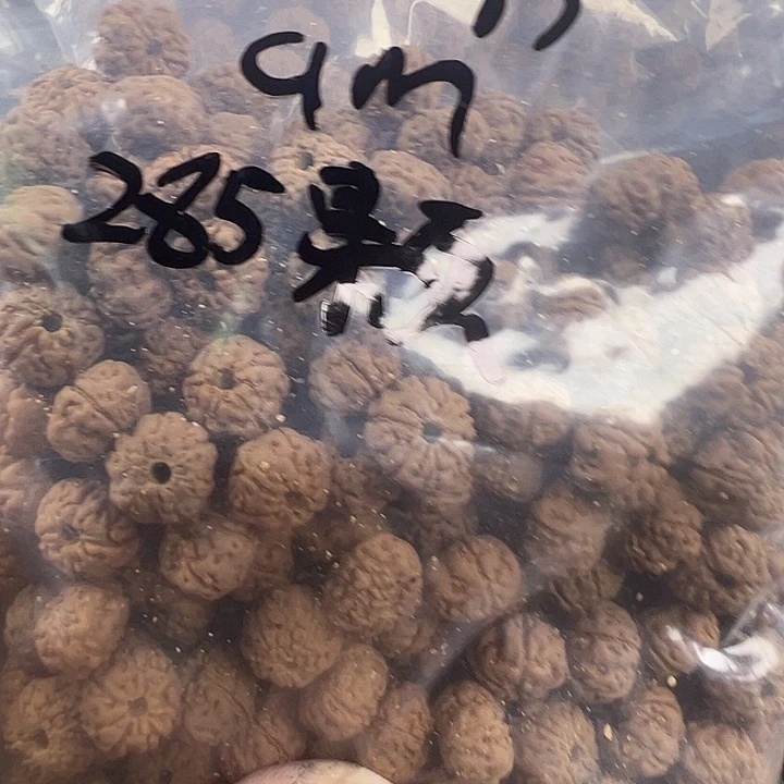 台***远金刚菩提吊坠9m散籽