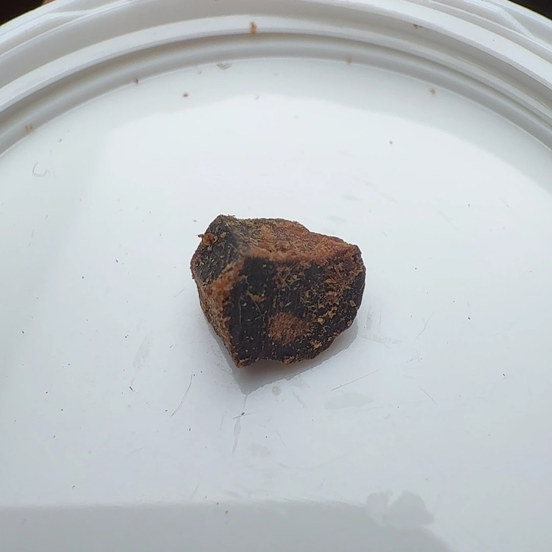 喜****沉香芽庄白棋碎料0.1g