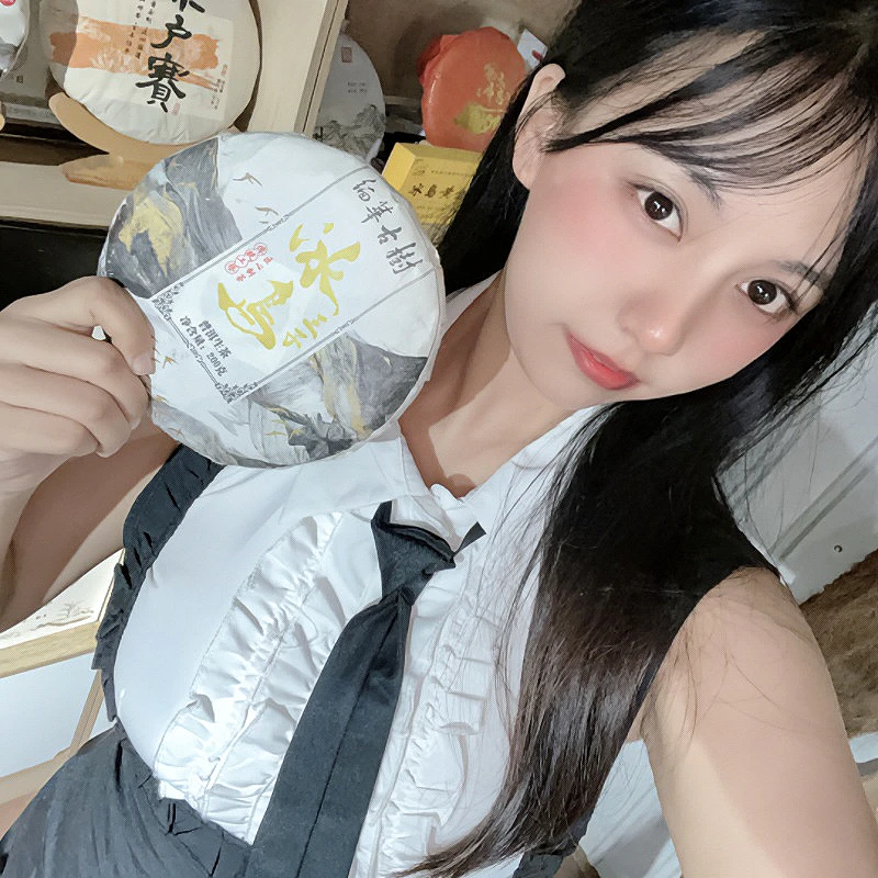 缅华古树冰岛王子 2023年冰岛中大树纯料普洱茶（生茶） 200克