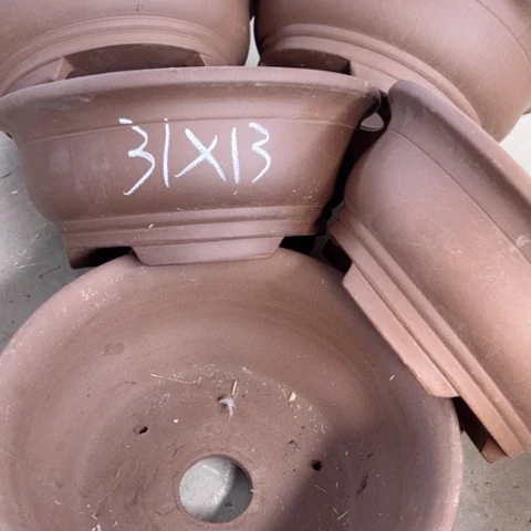 100-5。        31-13