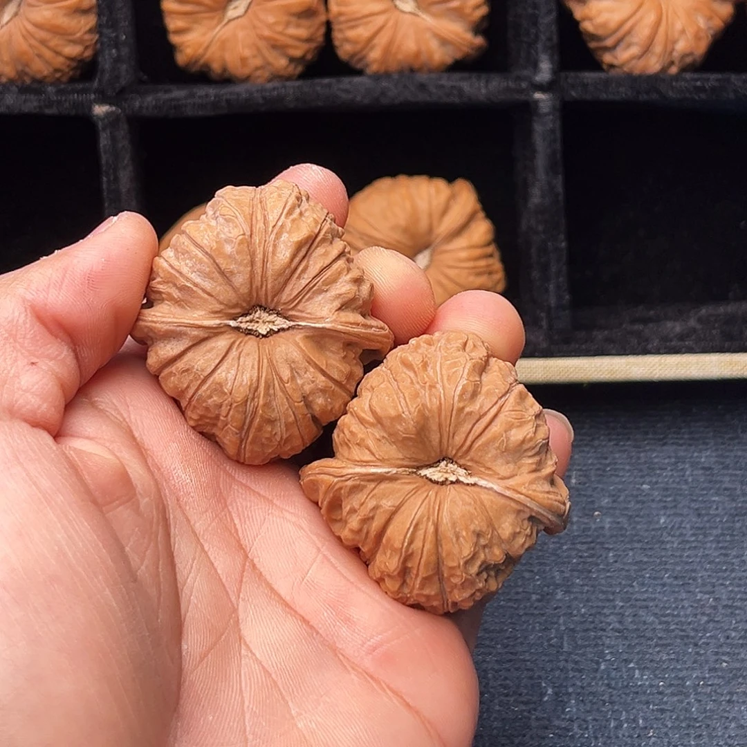 砀***队文玩核桃吊坠176-1113  砀山婚庆车队