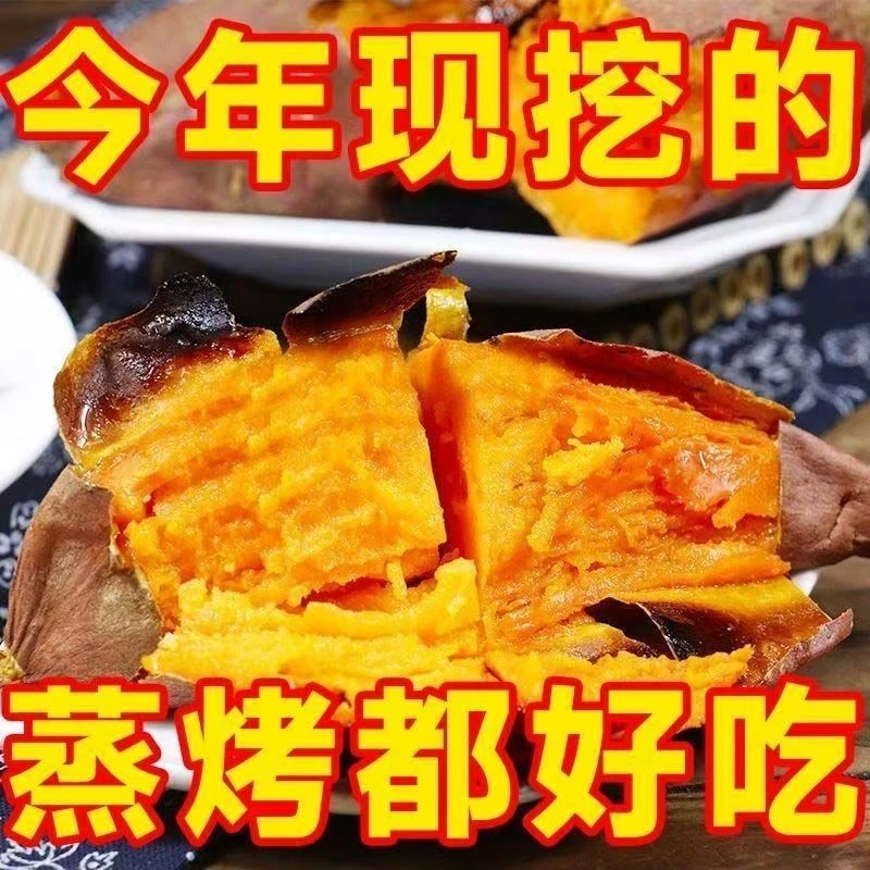 新鲜现挖红薯粉糯香甜正宗黄心蜜薯2