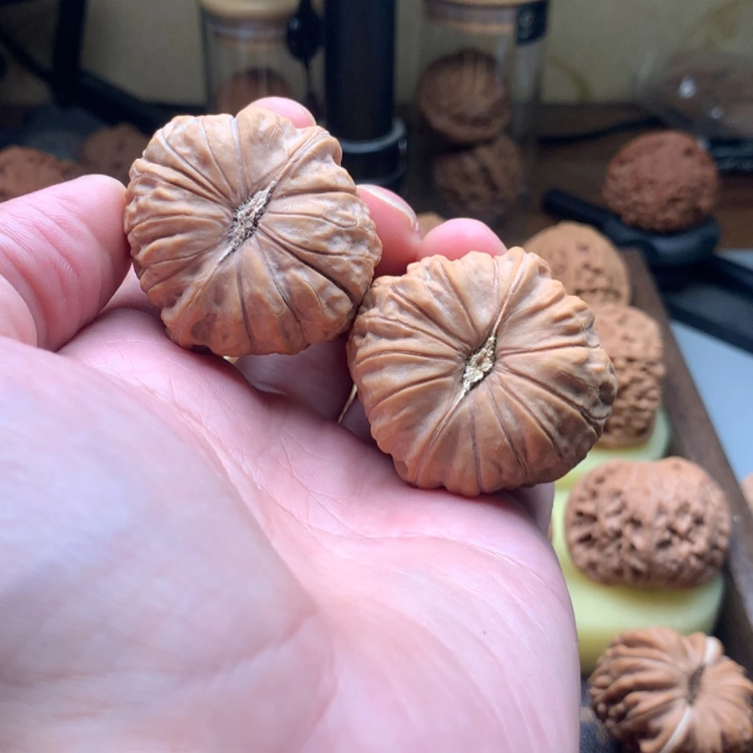 小***草发反反复复的方法