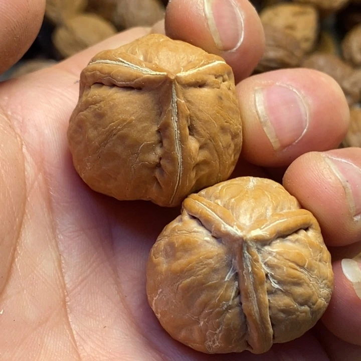 桃核吊坠东北特产24