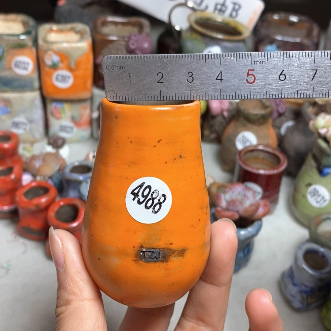花盆拍5送一个小礼物