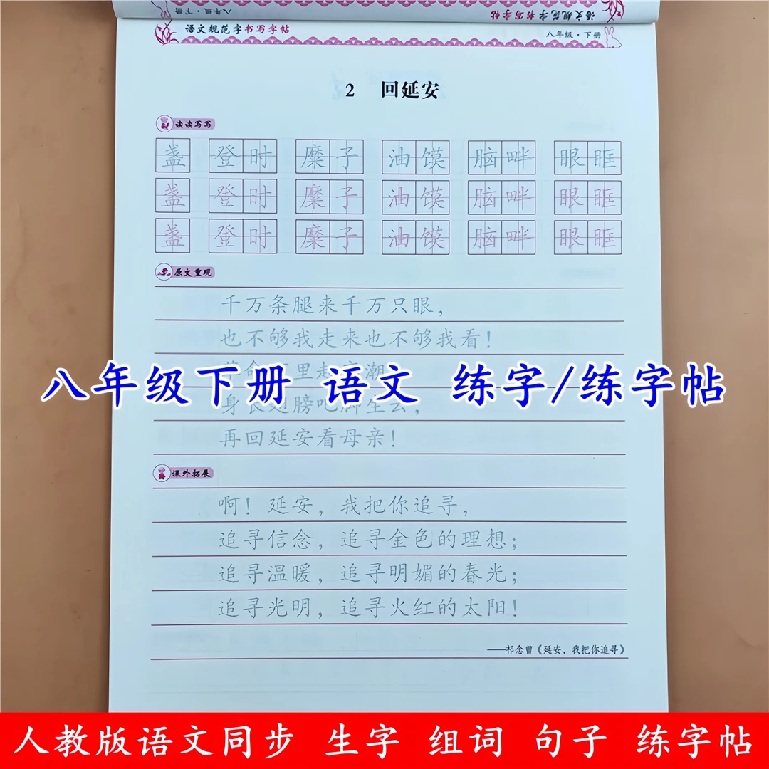 八年级下册语文同步练字帖小学控笔训练字帖人教版语文规范字字帖