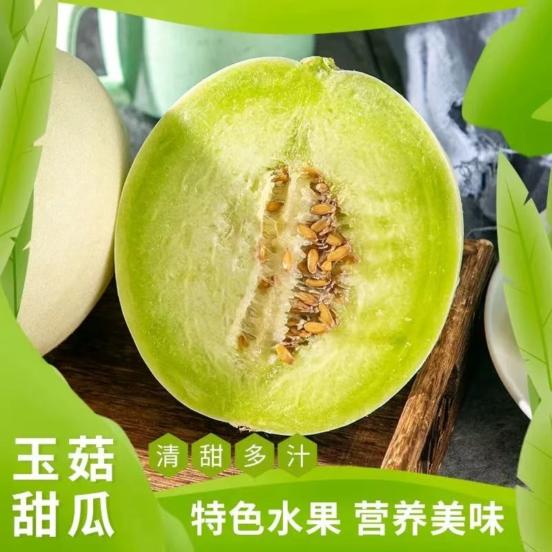 SGC001正宗山东玉菇甜瓜冰激凌瓜带箱5斤现摘现发坏果水果包赔