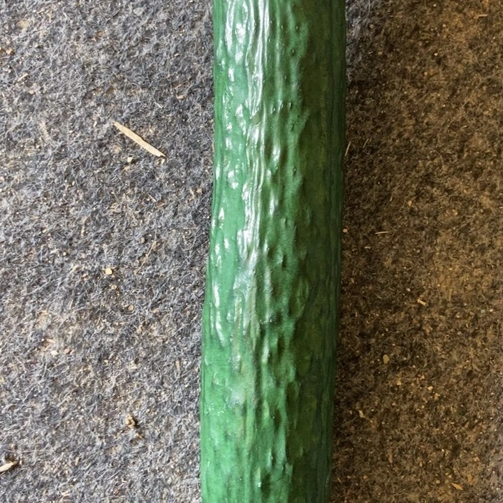 我***要陶瓷材料等领域的