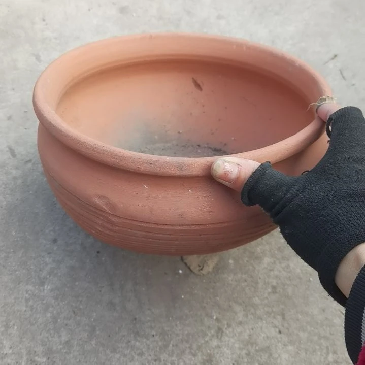 红陶24/13瑕疵一个