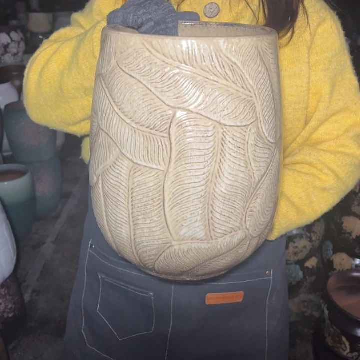 口20高31正品正品