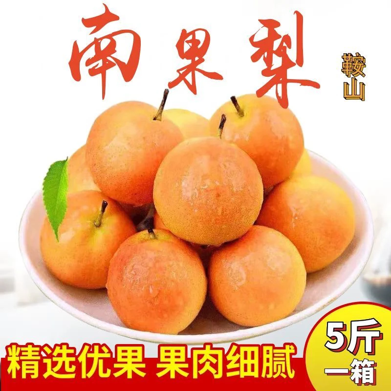 鞍山特产南果梨，家庭版箱装南果梨