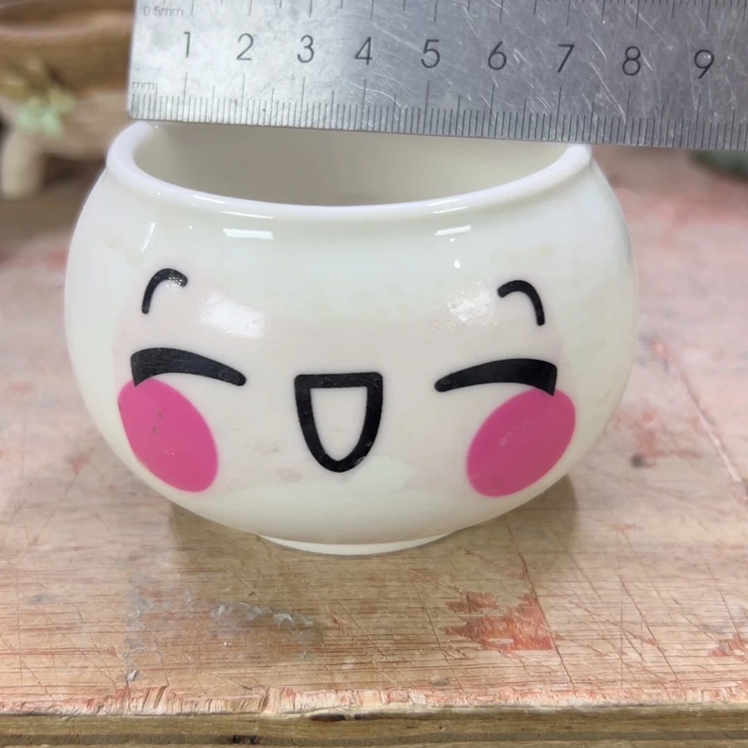 陶瓷茶盘特价上新