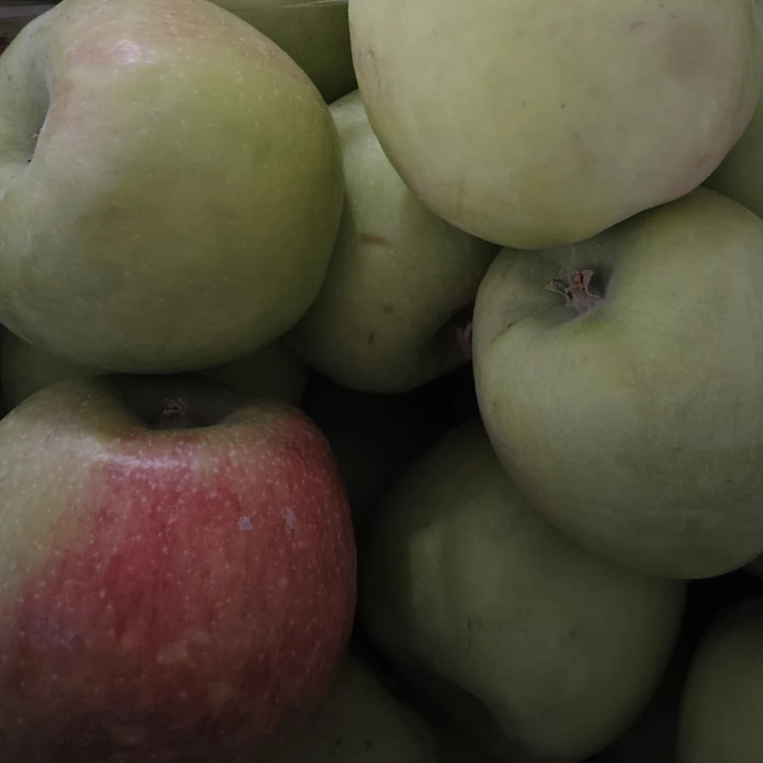 يېڭى  ئاق ئالما 新 白苹果（1kg) 新疆维吾尔自治区