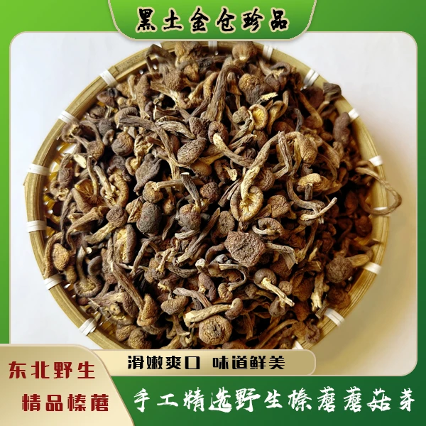 东北野生榛蘑精品蘑菇芽【适合孩子老人营养丰富】
