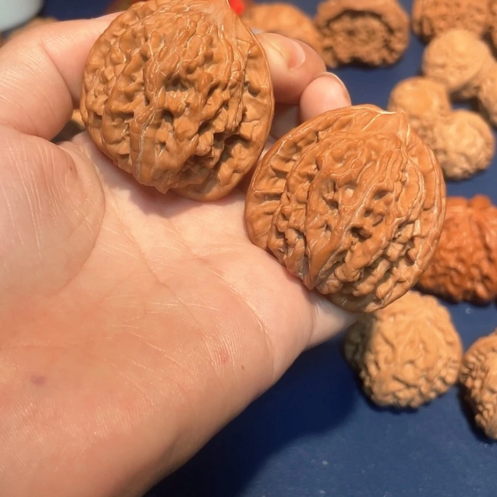 核桃粗筋虎头41尺核桃