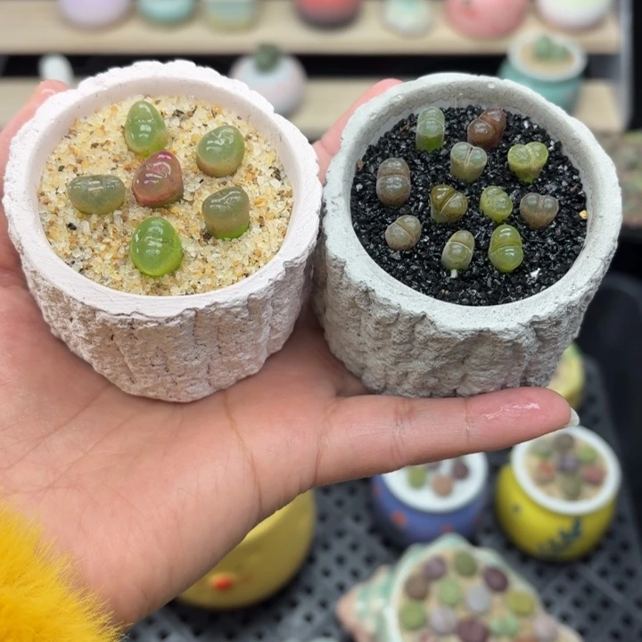 7029零下地区里的拍保温箱